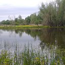 ���� ������, ������, 55 ��� - ��������� 12 �������� 2013 � ������ �������