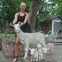  , , 42  -  13  2013    2013