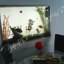 ���� �����, ������-��-����, 41 ��� - ��������� 27 ������� 2013 � ������ ���� ������....�