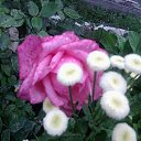 ���� �������, �������, 76 ��� - ��������� 1 ������� 2013