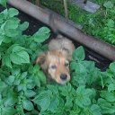 ���� �����, �����, 56 ��� - ��������� 29 ������� 2013 � ������ ��� ����.2013.�