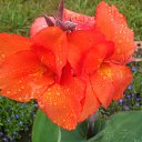 ���� ���������, ���������, 66 ��� - ��������� 30 ������� 2013