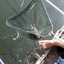 ���� Alehandro, �������, 54 ���� - ��������� 20 ������ 2013 � ������ �������