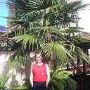 ���� ������� 2013 �� ������� ���� ����������