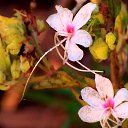  , , 56  -  9  2013   ջ