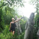  , , 42  -  13  2013    2013