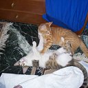 �� � ������� ������... �� ������� ���� �������� � ������ �����...�