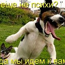 ���� ���), �����������, 24 ���� - ��������� 10 �������� 2013 � ������ ���� ����������