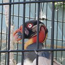 ���� Ak, �����, 56 ��� - ��������� 27 ������� 2013 � ������ ���� ����������