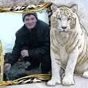 ���� ����, ������������, 41 ��� - ��������� 15 ������ 2014 � ������ ������ ��������