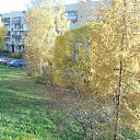 ���� M���, �����-��������� - ��������� 31 ������� 2013 � ������ ��� ����.�