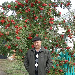 Николай, 63, Светлый, Светлинский район