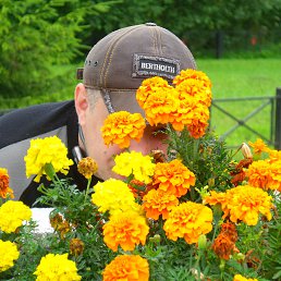  *Alexander*, -, 52  -  10  2013