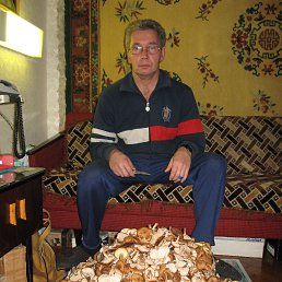 ���� ���������, �������, 65 ��� - ��������� 27 ������ 2013