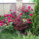 ���� ������ ����, ����, 44 ���� - ��������� 17 ������� 2013 � ������ �������� ������!�