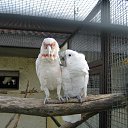 ���� ������, ������, 64 ���� - ��������� 21 �������� 2013 � ������ �� ����� ���� "�������" 18.09.2013�