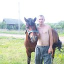 ���� �����, ���������, 41 ��� - ��������� 15 �������� 2013 � ������ ���� ����������