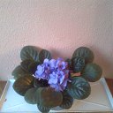 ���� �������, ������, 44 ���� - ��������� 25 ������ 2014 � ������ ���������� ������