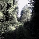  Nata Li Legata,  -  12  2013   ,  )