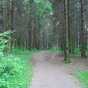 ��� ����� ���� �� ������� ���� ����������