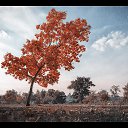 ���� �������, ������, 40 ��� - ��������� 22 ������ 2013 � ������ ����
