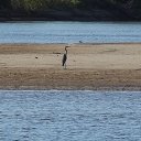 �����. �� ������� ���� ����������