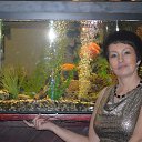  Galina,  -  30  2013    