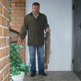 �������� �������, ������������, 71 ���