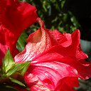 ���� �������, ����������� - ��������� 5 ������ 2013 � ������ ���� ������ ���