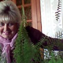 ���� �������, ������, 59 ��� - ��������� 12 ������� 2013 � ������ ���� ����������