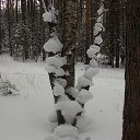 ����� �������� �� ������� ������� ���2014�