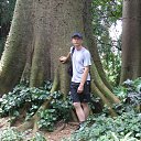 ���� ������, �����������, 46 ��� - ��������� 7 ������ 2013