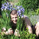 ���� �������, ������������, 43 ���� - ��������� 22 ������� 2013 � ������ ���� ����������