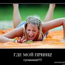 ���� ���������, ���������, 40 ��� - ��������� 29 �������� 2013 � ������ ���� ����������