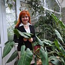 ���� ������, �����, 57 ��� - ��������� 9 ������� 2014 � ������ ���� ����������