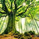 ���� Dalik, ������, 36 ��� - ��������� 28 ������� 2014 � ������ ������ ��������