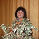 ���� �������� ��������, ���� - ��������� 11 ������� 2013 � ������ ���� ����������