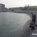  , , 60  -  6  2014   .  