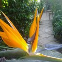 ���� ����, ����������� - ��������� 20 ������ 2014 � ������ �����������