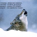 ���� ���������, �����������, 45 ��� - ��������� 22 ������� 2014 � ������ ���� ����������