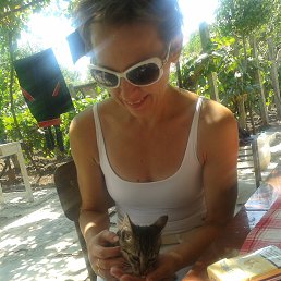 ���� ����, ����� ������ - ��������� 23 ������ 2013