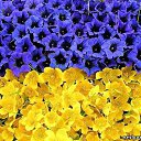 ���� Galinka, �������, 48 ��� - ��������� 10 ����� 2014 � ������ ������ ��������