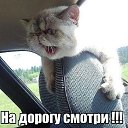 ���� ������(���� �� ����,���� ��� ����, ������ - ��������� 14 ����� 2014 � ������ ������ ��������