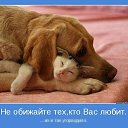 ���� **S**, �������������-���������� - ��������� 2 ������� 2013 � ������ �������