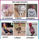 ���� ������, ������ - ��������� 7 ������� 2014