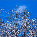 ���� ������, �����������, 67 ��� - ��������� 21 ������� 2014 � ������ �������� �������� ��������