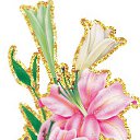 ���� �����, ������ - ��������� 24 ������� 2014 � ������ �������