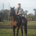 ���� �����, ������������ - ��������� 26 ������� 2013 � ������ ���� ����������