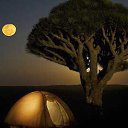 ���� Saeed, ������ - ��������� 31 ������ 2014 � ������ ���� ����������