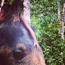 ���� ������, ������, 36 ��� - ��������� 14 ������ 2014 � ������ ���� ����������